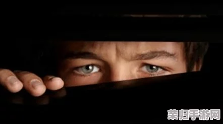 什么是黑料社？揭秘网络暗角,一窥人性阴暗面的神秘江湖