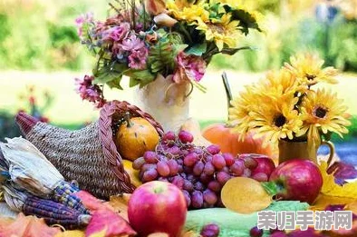 金秋梅荡秋千夹葡萄，感受丰收季节的美好与自然的馈赠，尽享生活中的小确幸
