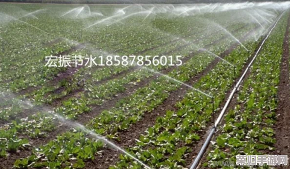 苏软软优质灌溉系统汉怡昏，智能科技农业装备设备水肥一体化管理方案