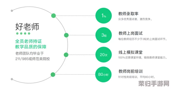 7X7X任意噪：全面解析用户反馈带来的深刻见解与创新思维探索