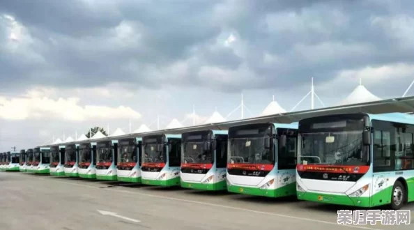 触手公交车：穿梭于城市间的便捷利器，让出行更加轻松和舒适
