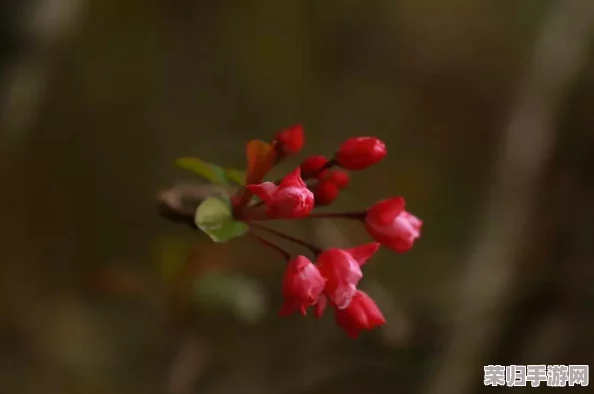 【策略进阶】打造不败传奇:小小英雄新手必学顶尖阵容搭配指南,解锁最强战力之路! 【策略进阶】打造不败传奇:小小英雄新手必学顶尖阵容搭配指南,解锁最强战力之路!