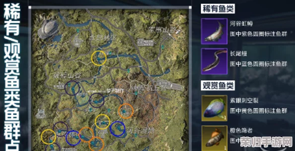 探寻星球重启之旅：揭秘春花鱼隐秘栖息地与高效捕获策略