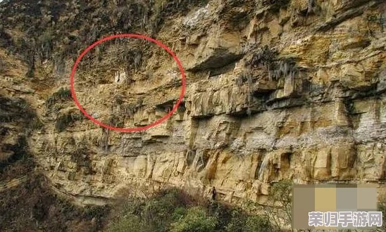 腐烂藤蔓在神庙哪里?考古学家发现惊人线索揭秘神秘历史 腐烂藤蔓在神庙哪里?考古学家发现惊人线索揭秘神秘历史