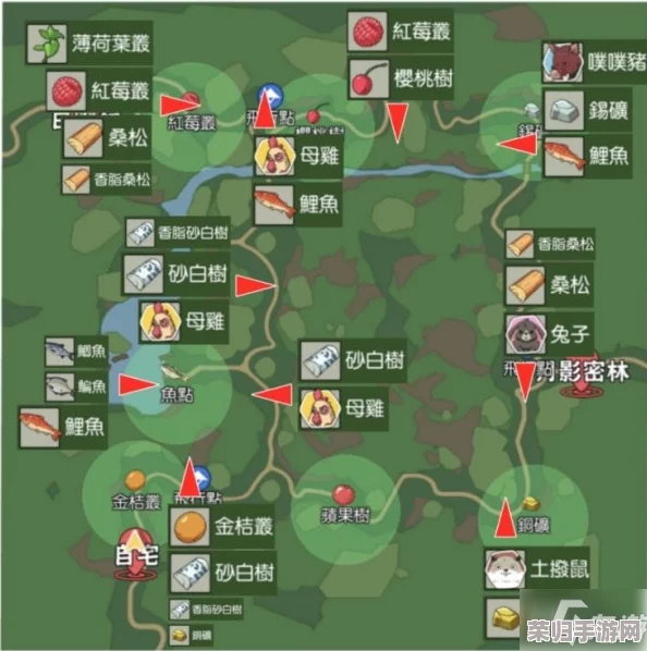 探索《小森生活》全貌：朝晖森林资源分布地图与高效生存攻略全方位指南