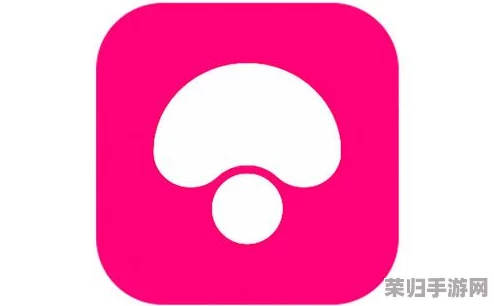 蘑菇mogu最新版本更新内容：新增功能、优化体验、bug修复等