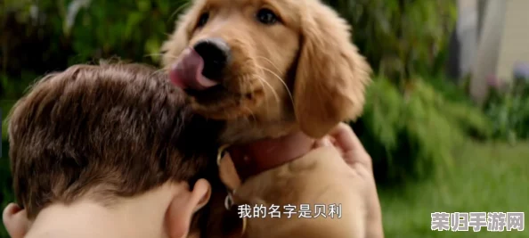 重生之优选：投胎模拟器顶级路线规划策略与心得分享，助你穿越轮回成赢家