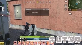 使命召唤手游：战场模式制胜秘籍——精准运用道具的策略与实战技巧深度剖析