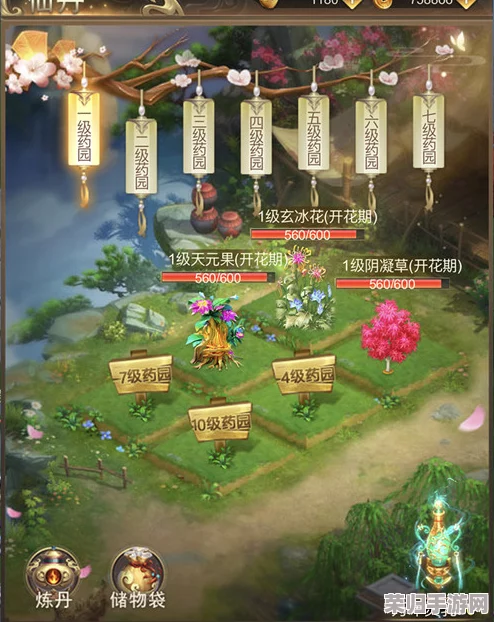 持续药力，天机变新手飞跃指南：揭秘高效进阶修炼术与策略布局