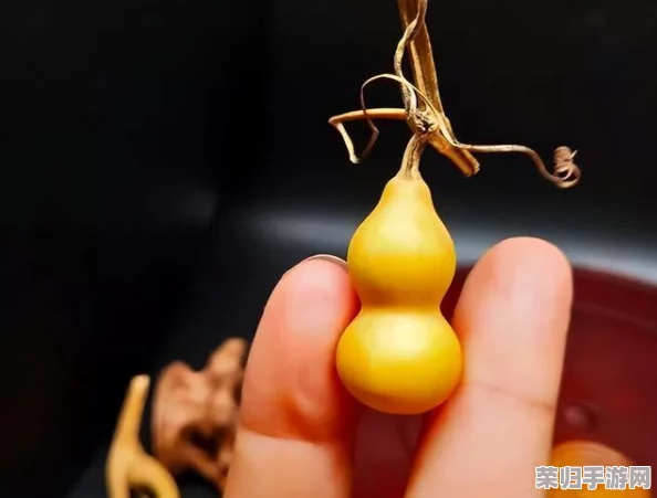 葫芦里面不卖药千片万片你需要 ｜ 网红 ｜ 秒杀 ｜ 限时特惠