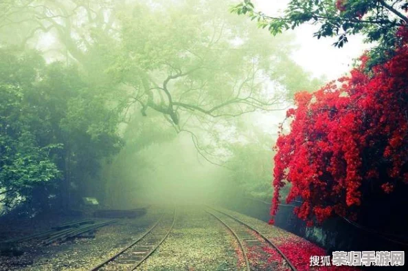 迷宫征服者指南：佣兵策略深潜，新手向阵容搭配智慧精选与实战思路解析路径