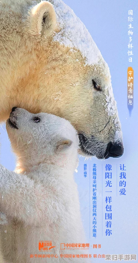 人与禽ZZZ0交酡牧场：探索人与动物和谐共处的奇妙体验与无尽乐趣