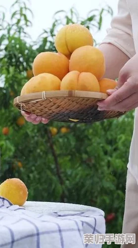 黄桃视频：带你领略甜蜜与清新的视觉盛宴，感受生活的美好瞬间