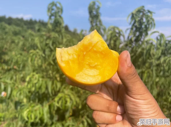 黄桃视频：带你领略甜蜜与清新的视觉盛宴，感受生活的美好瞬间