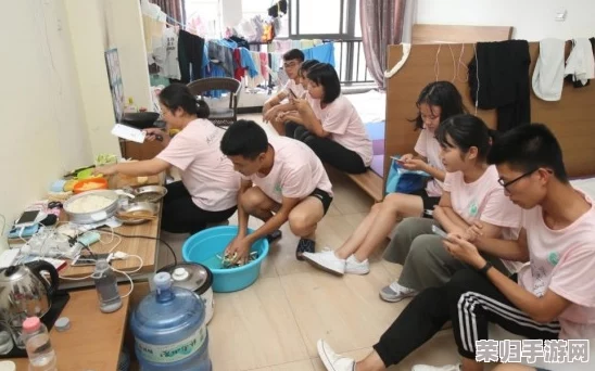 王莲阿炳506宿舍内容：青春记忆与友谊的交织，生活点滴分享与成长故事
