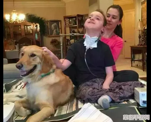 我的狗老公拉婆婆一起，陪伴与温暖的幸福生活分享