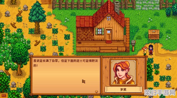 《星露谷物语》甜蜜攻略：探索哪位村中佳人最合你心意，共筑田园浪漫梦