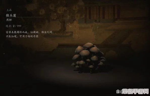 黑神话悟空：解锁饮食周全成就的终极指南，遍寻10种奇葫芦、9味珍酿与27样泡酒秘宝位置大全
