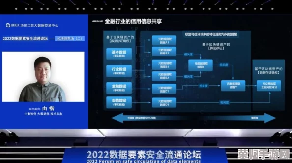 收集系统jyH落落：如何在数字时代高效管理信息与数据流动的最佳实践分享