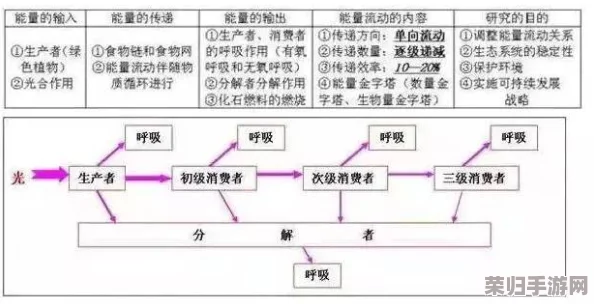 探索动物森林法则：波波英雄独特技能全解析与实战效能评估