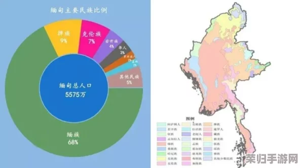 缅甸北部恐怖网站www应用：揭示网络安全隐患与社会影响的深度分析与思考