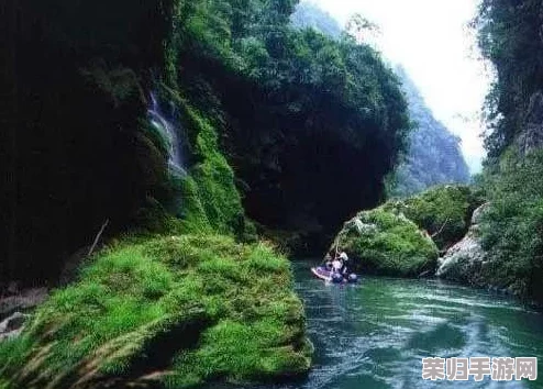 “两岸夹小溪地湿又无泥，感受自然之美与生态保护的重要性”