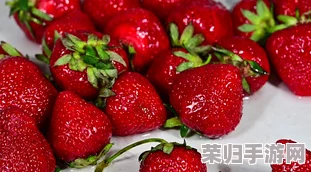 草莓小视频：新鲜水果的甜美诱惑，让人垂涎欲滴