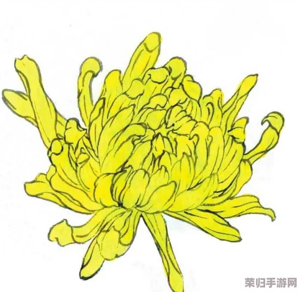 错一道题在菊花里放一支笔，竟然引发了无数网友的热议与思考，真是让人意想不到！