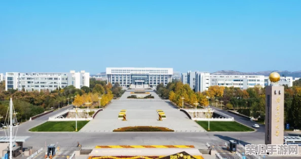 长清大学大一AJ资源：全面评价及使用指南