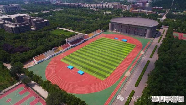 长清大学大一AJ资源：全面评价及使用指南