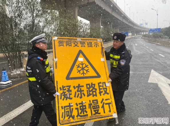 武汉警察双龙浩哥：勇敢执法背后的故事与社会责任感的深度剖析