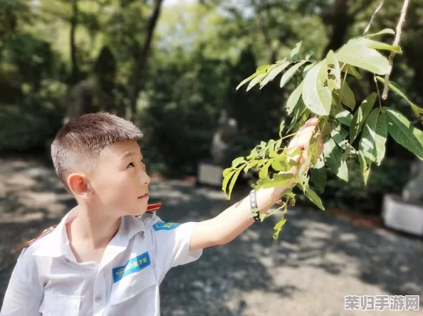 荼茶暑假日记王伯：一段充满温情与思考的夏日旅程回忆