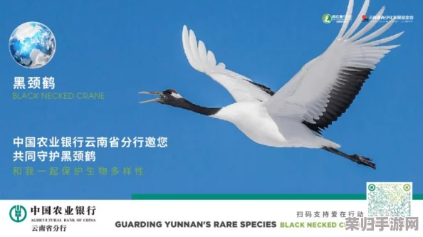 携手天刀OL，共筑生态防线：守护珍稀小勺子鹬，九九公益日爱心启程