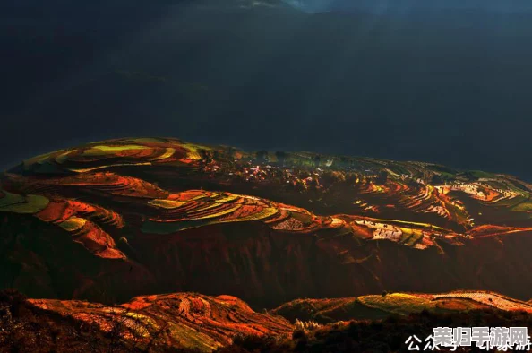 搜索大地之源第二页：揭开自然奇观与生态奥秘的神秘面纱
