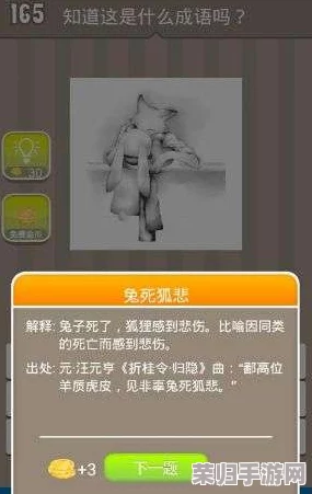 文字探险家小英：揭秘隐藏淤青之谜，一步步攻略助你搓除障碍通全关秘籍图集