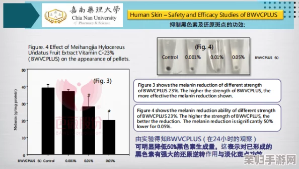 掌握后发制人策略精髓：高效升级路径与实战技巧，加速成就巅峰之路