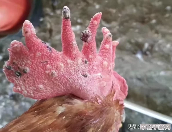 探索虚拟桃源：'禽舍物语'，沉浸式游戏体验引领养殖新风尚
