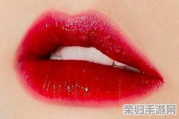 YSL水蜜桃86：唇间绽放的甜蜜诱惑，一抹惊艳全场的魅力武器