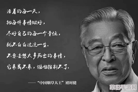 胡秀莲与瓦工：揭示她在建筑行业的奋斗历程与人生哲学
