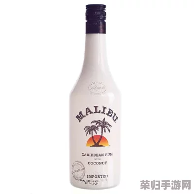 椰子酒升阶效果:畅享热带风情与独特口感的完美结合 椰子酒升阶效果:畅享热带风情与独特口感的完美结合