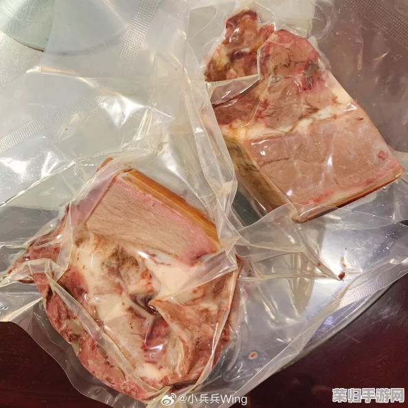 苏软软汆肉的日常：温馨与美味交织，带你感受生活中的小确幸