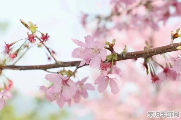 色五月第四色：感受春日的温暖与浪漫，畅享生活中的每一份美好与激情
