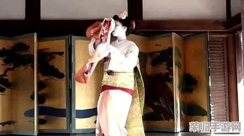 花魁直播：绝美艺妓身姿，惊艳如梦幻般的传统日本风情表演