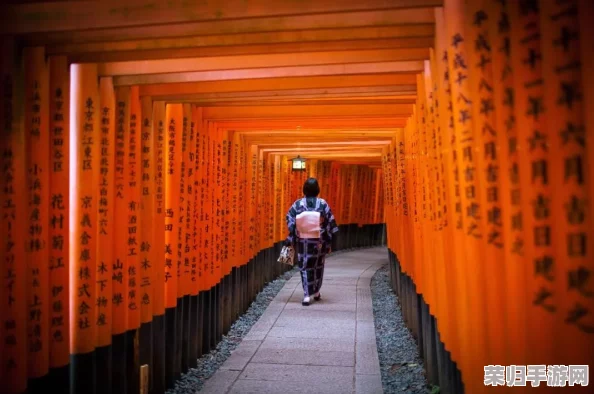 日本69xx：独特魅力与文化深度的完美结合，值得每位旅行者体验
