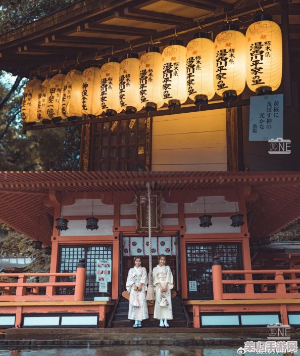 日本69xx：独特魅力与文化深度的完美结合，值得每位旅行者体验