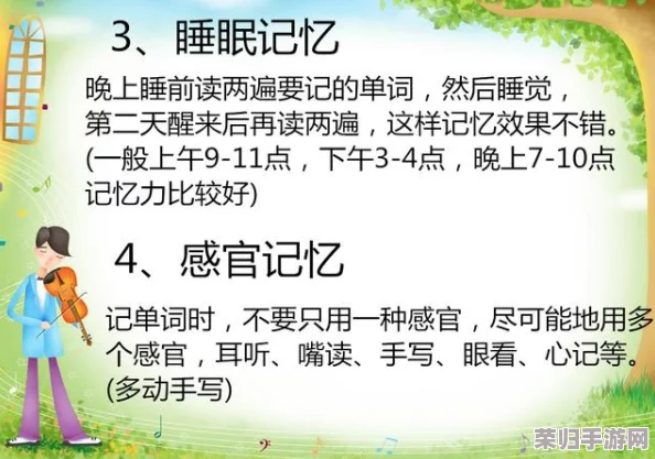 坐在学长的根茎上背单词：一种新颖而有趣的学习方式，激发了我的记忆潜能与创造力