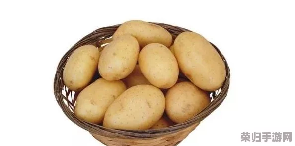 麻豆一二三土豆：新鲜美味的健康选择，带你领略土豆的多样吃法与营养价值