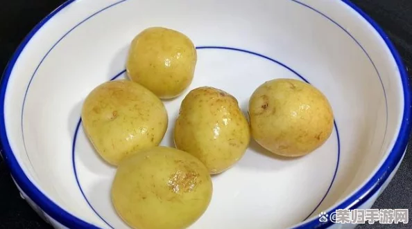 麻豆一二三土豆：新鲜美味的健康选择，带你领略土豆的多样吃法与营养价值