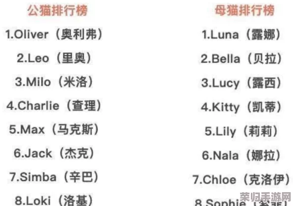 猫咪网站最新地域网名怎么取？2021年热门词汇大揭秘