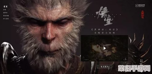深度探索《黑神话：悟空》中豺天兵影神图的奥秘——精编版图鉴，揭秘其独特形象与战斗魅力